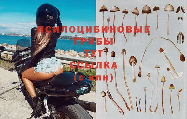 каннабис Алексин