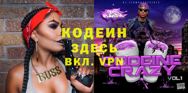 крисы Алзамай