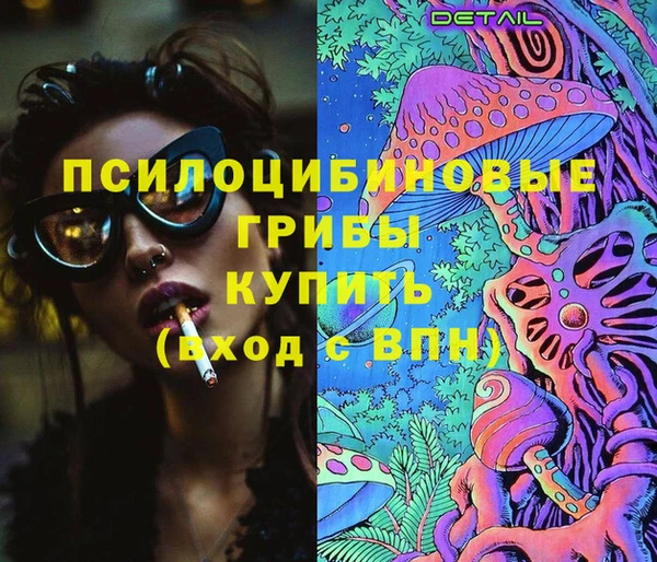 крисы Алзамай