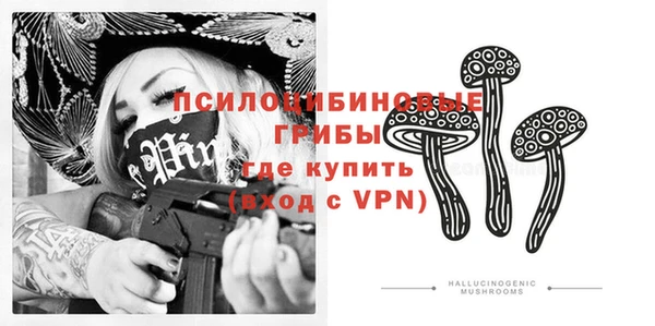 крисы Алзамай