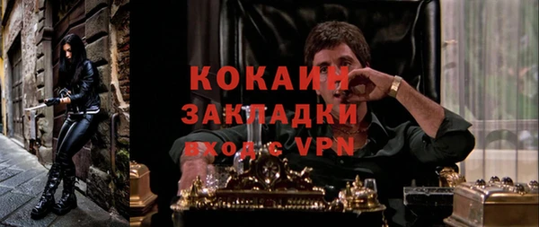 крисы Алзамай