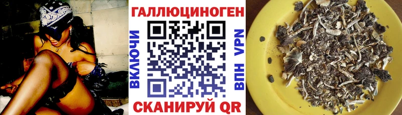 Псилоцибиновые грибы ЛСД  мега ONION  Котлас  как найти  